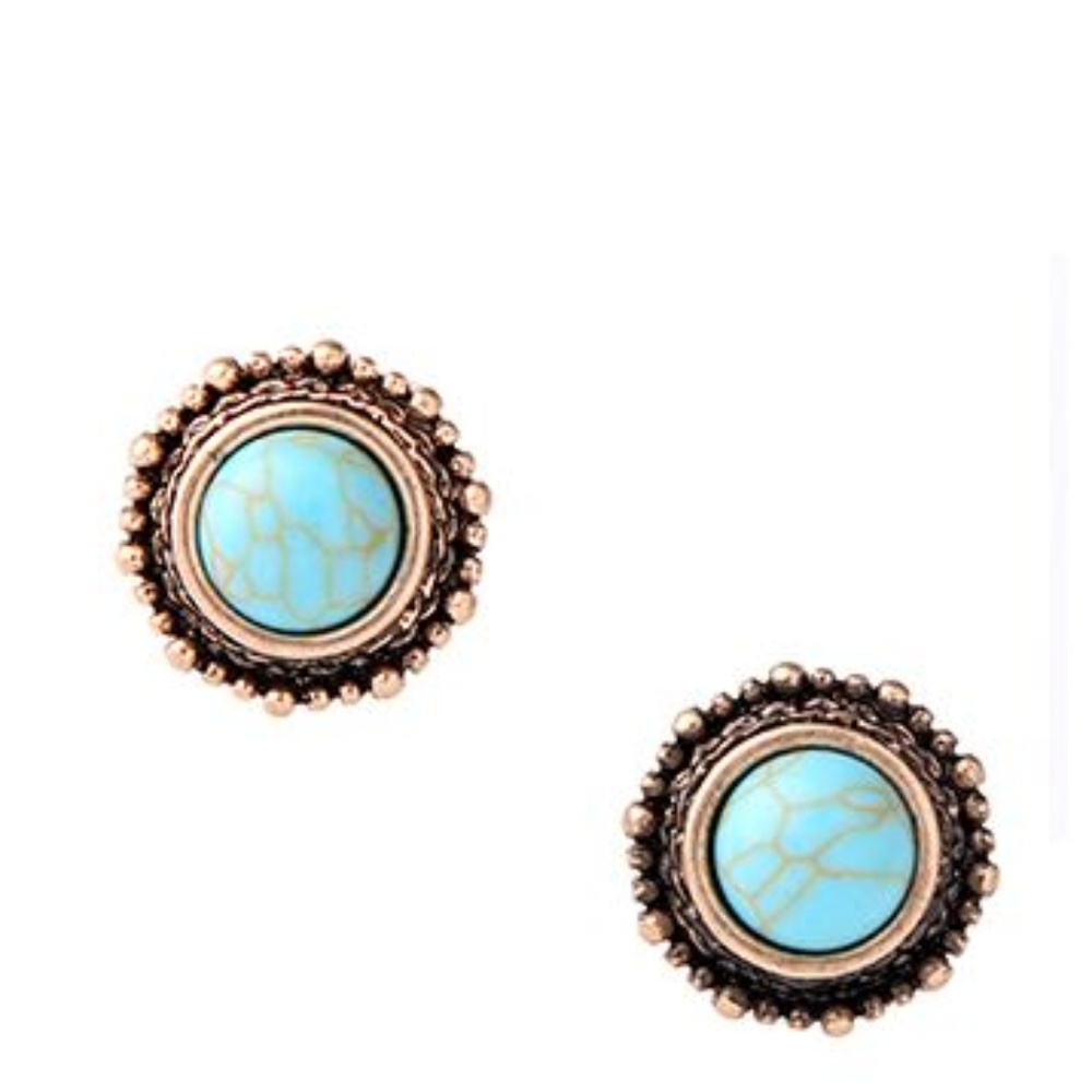Just In🆕Acrylic Resin Designer Earrings